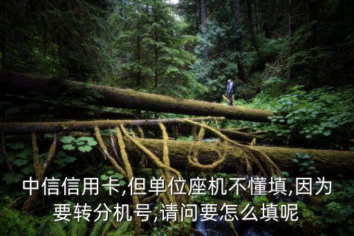 中信信用卡,但单位座机不懂填,因为要转分机号,请问要怎么填呢