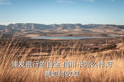  浦发银行的白金 信用卡怎么样,年费如何收取