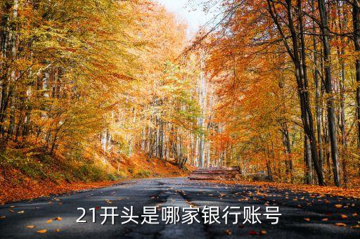 21开头是哪家银行账号
