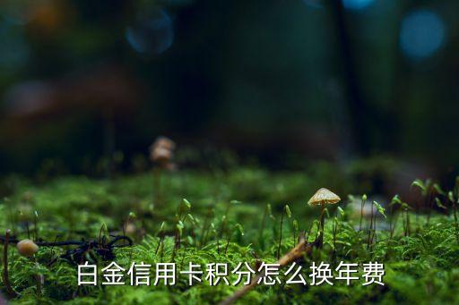 广花银行信用卡怎么抵年费,广州银行信用卡年费
