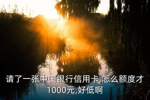 请了一张中国银行信用卡,怎么额度才1000元,好低啊