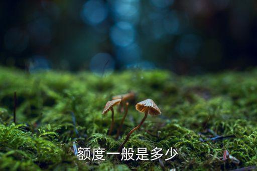 建设银行信用卡2万金卡,建行的两万信用卡