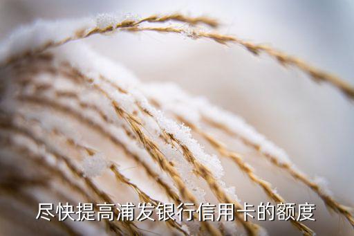尽快提高浦发银行信用卡的额度