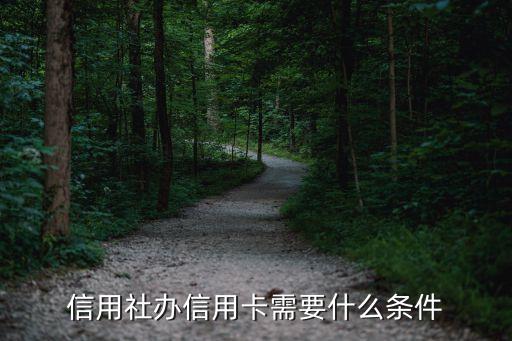 信用社办信用卡需要什么条件