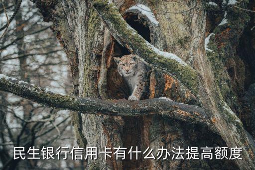 民生银行信用卡有什么办法提高额度