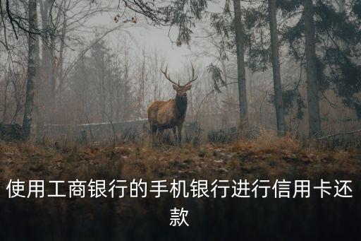 使用工商银行的手机银行进行信用卡还款