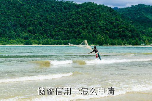 储蓄信用卡怎么申请