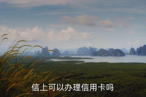 信上可以办理信用卡吗