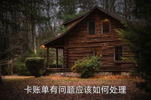 卡账单有问题应该如何处理