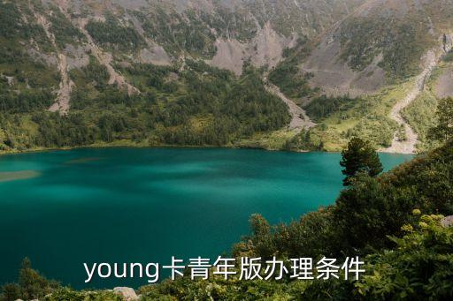 young卡青年版办理条件