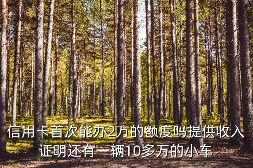 信用卡首次能办2万的额度吗提供收入证明还有一辆10多万的小车