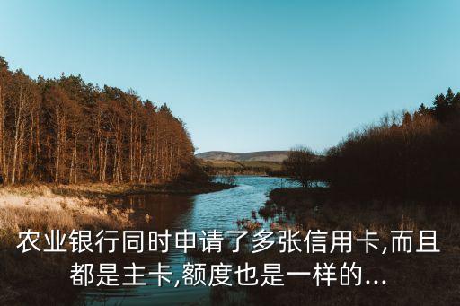 农业银行同时申请了多张信用卡,而且都是主卡,额度也是一样的...
