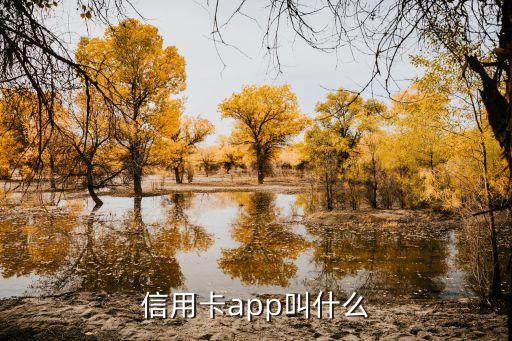 信用卡app叫什么