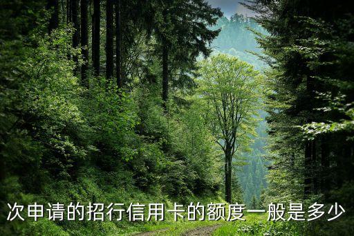 次申请的招行信用卡的额度一般是多少