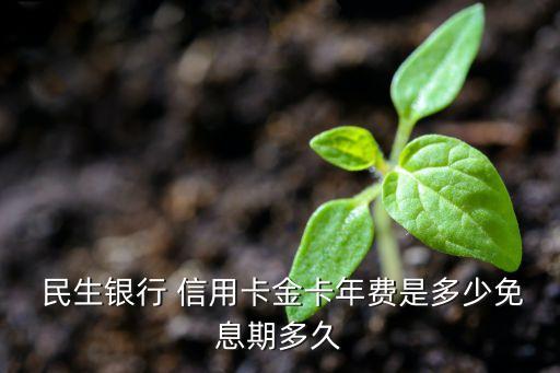 民生银行信用卡十年免年费,民生信用卡年费多少钱