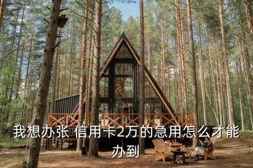 我想办张 信用卡2万的急用怎么才能办到
