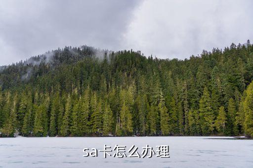 sa卡怎么办理