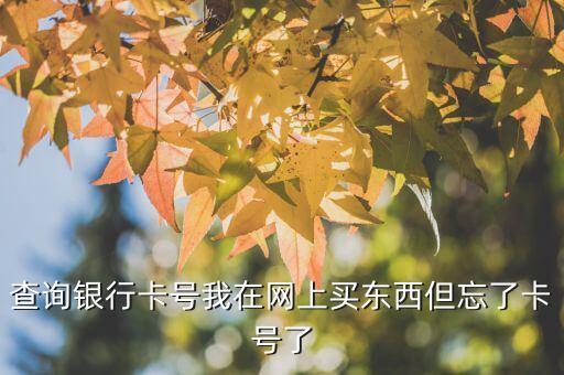 查询银行卡号我在网上买东西但忘了卡号了