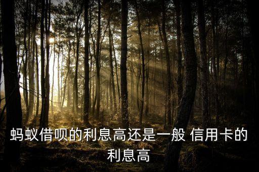 蚂蚁借呗的利息高还是一般 信用卡的利息高