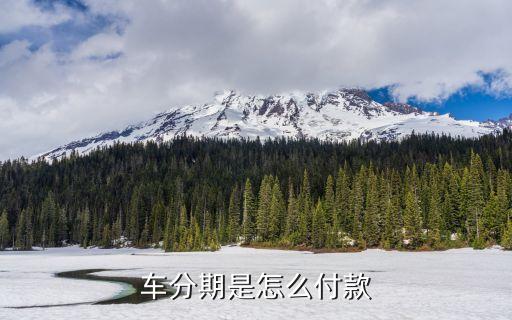 车分期是怎么付款