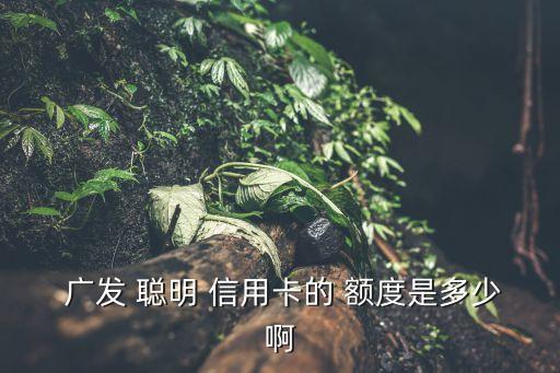  广发 聪明 信用卡的 额度是多少啊