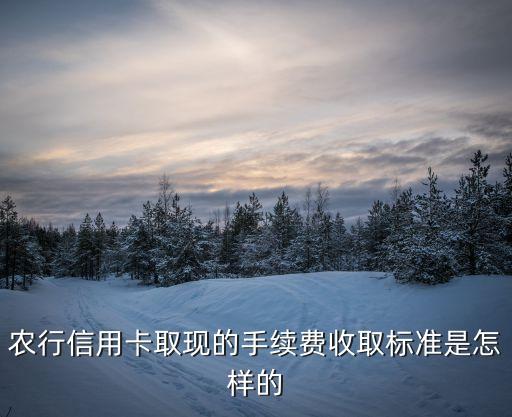 农行信用卡取现的手续费收取标准是怎样的