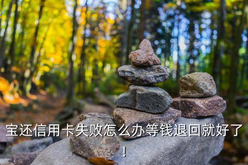 宝还信用卡失败怎么办等钱退回就好了!