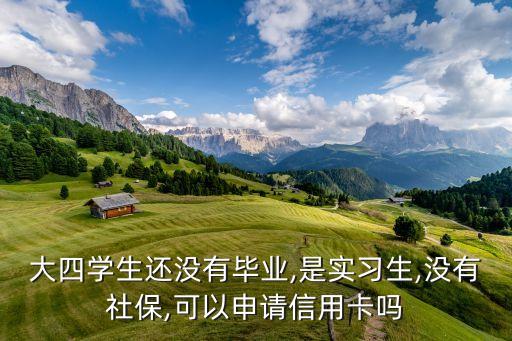 大四学生还没有毕业,是实习生,没有社保,可以申请信用卡吗