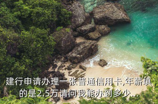 建行申请办理一张普通信用卡,年薪填的是2.5万请问我能办到多少...