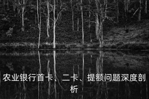 农业银行首卡、二卡、提额问题深度剖析