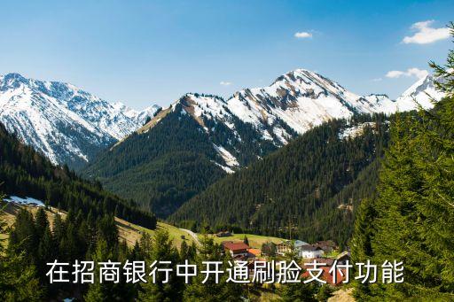 在招商银行中开通刷脸支付功能