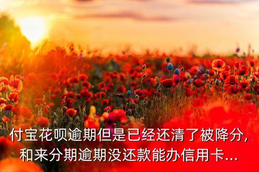 来分期如何申请信用卡,信用卡如何申请免息分期还款