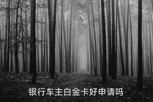 平安车主信用卡网点申请,如何办理平安车主的信用卡