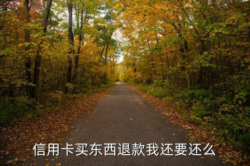 天猫信用卡退款算还款吗,如何偿还天猫的极速退款