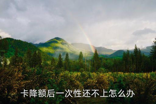 卡降额后一次性还不上怎么办