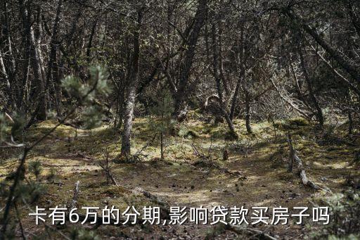 卡有6万的分期,影响贷款买房子吗