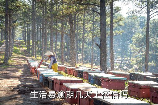 天津银行美团信用卡还款日,天津银行美团信用卡