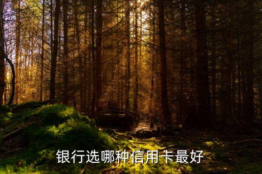 银行选哪种信用卡最好