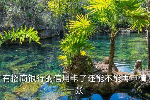 有招商银行的信用卡了还能不能再申请一张
