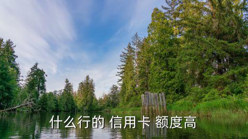 什么行的 信用卡 额度高