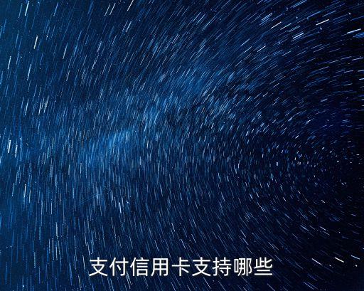 支付信用卡支持哪些