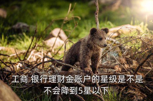  工商 银行理财金账户的星级是不是不会降到5星以下
