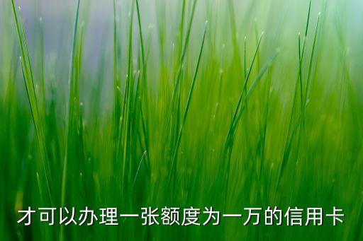 才可以办理一张额度为一万的信用卡