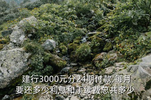  建行3000元分24期付款,每月要还多少利息和手续费总共多少