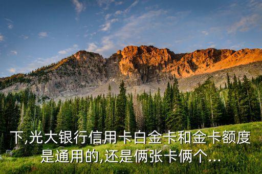 下,光大银行信用卡白金卡和金卡额度是通用的,还是俩张卡俩个...