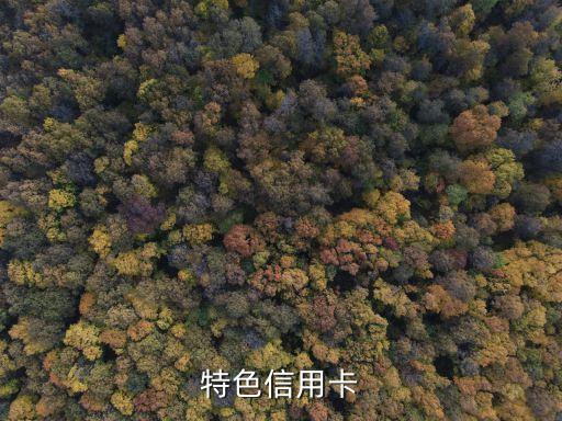 特色信用卡
