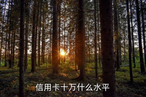 信用卡十万什么水平