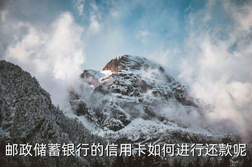 往信用卡还钱怎么还款啊,信用卡不应该还款怎么办