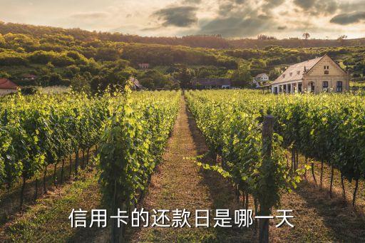 信用卡的还款日是哪一天