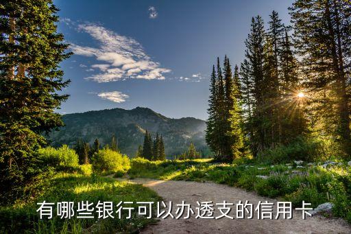 有哪些银行可以办透支的信用卡